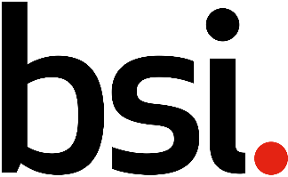 Image result for british standard institute logo
