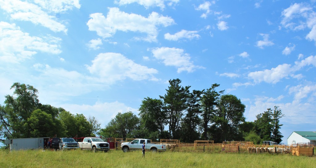 AI project at DeVries Farm.