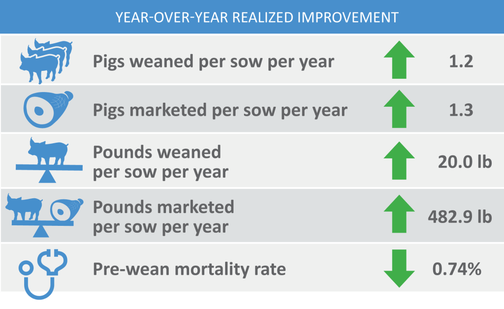 Year over year improvement in pigs weaned per sow per year, pigs marketed per sow per year, pounds weaned per sow per year, pounds marketed per sow per year, pre-wean mortality rate.